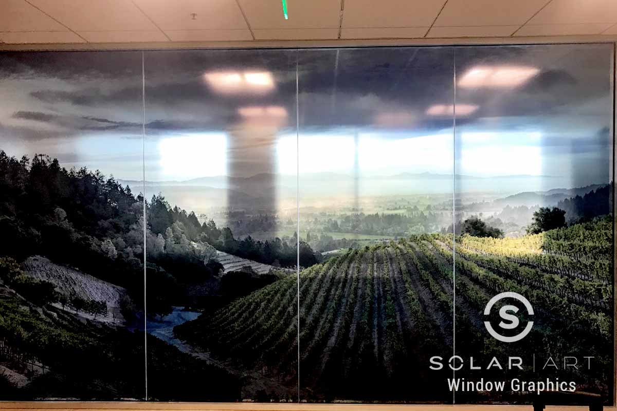 Nature image window graphics