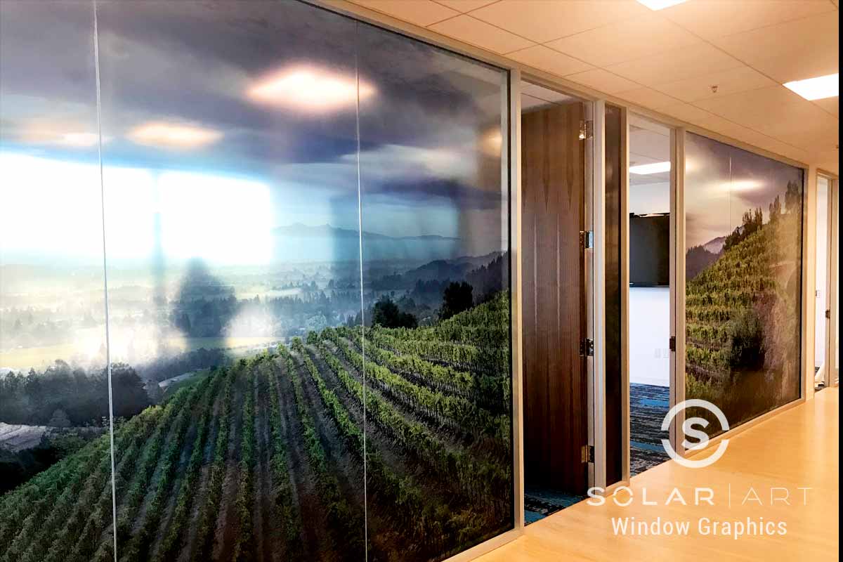 Nature image window graphics